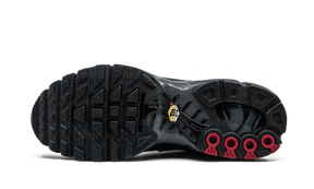 Nike Air Max Plus Blue and Red
