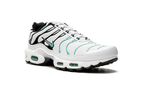 Nike Air Max Plus Atmos