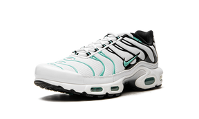 Nike Air Max Plus Atmos
