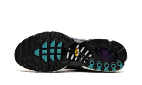 Nike Air Max Plus Reverse Grape