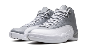 Jordan 12 Stealth