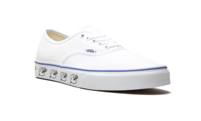 Vans Authentic "Sidewall - Paint Palette"