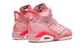 Jordan 6 Retro Aleali May