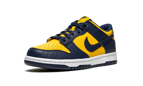 Nike Dunk Low Michigan