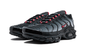 Nike Air Max Plus Blue and Red