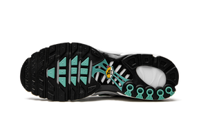 Nike Air Max Plus Atmos