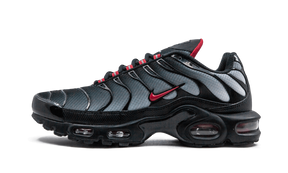 Nike Air Max Plus Blue and Red