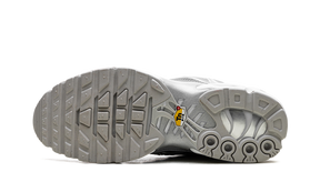 Nike Air Max Plus Metallic Silver
