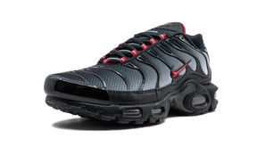 Nike Air Max Plus Blue and Red